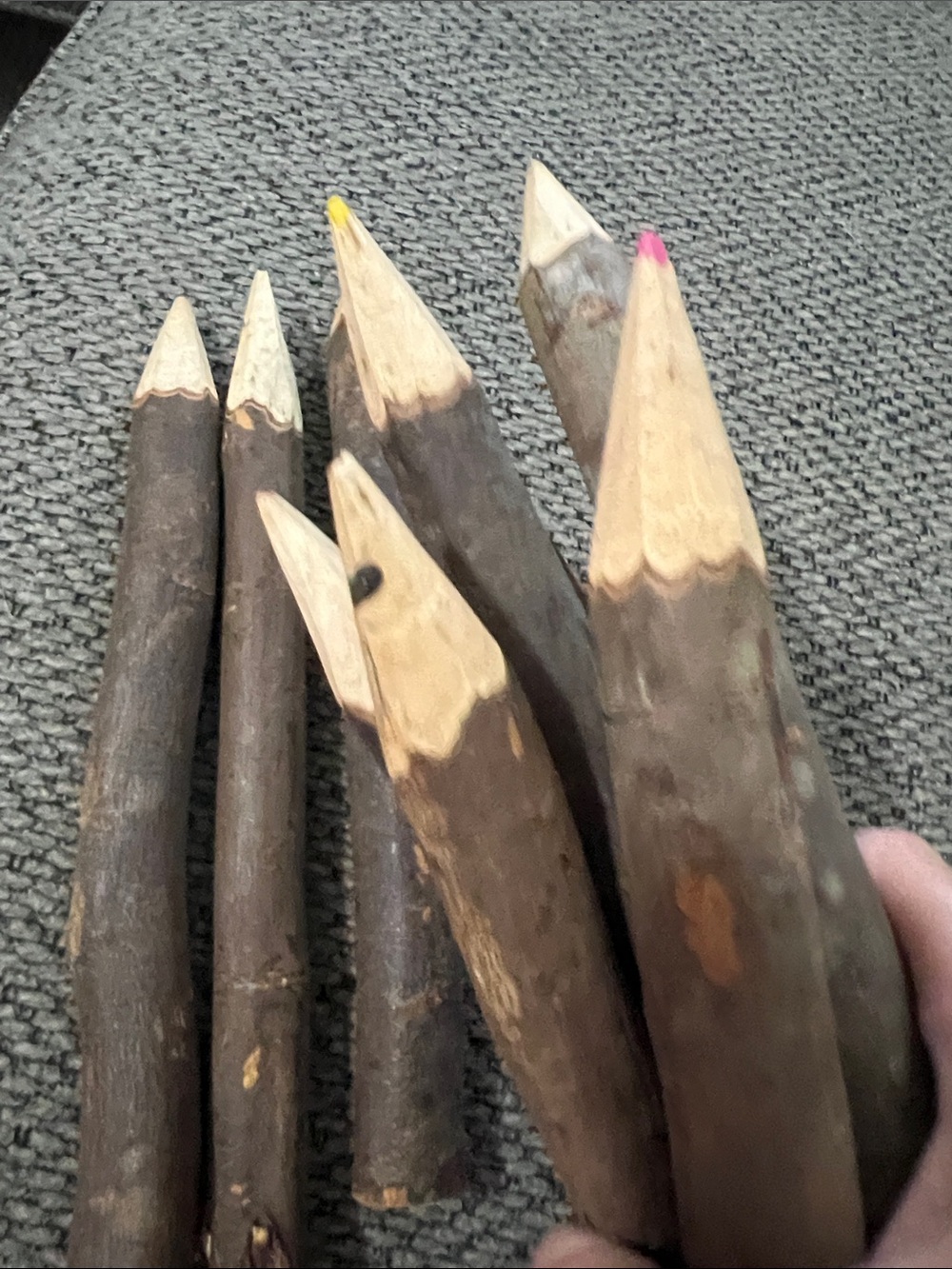Rustic Twig Colored Pencils Set